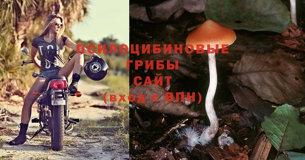 мет Гусь-Хрустальный