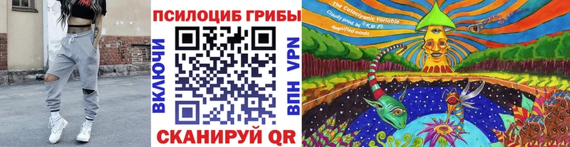 Псилоцибиновые грибы Psilocybine cubensis  цены   Туапсе 